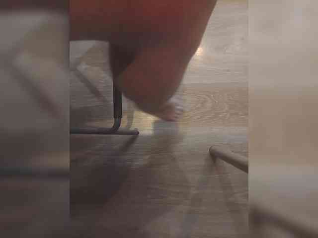 Nepechalka webcam
