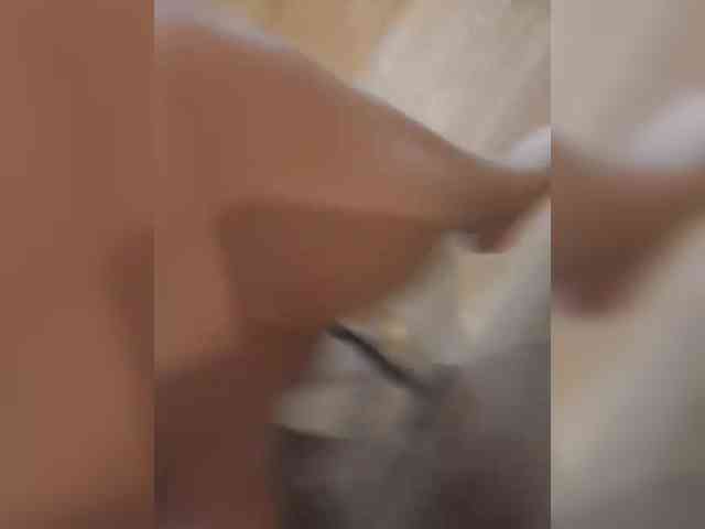 Nepechalka webcam