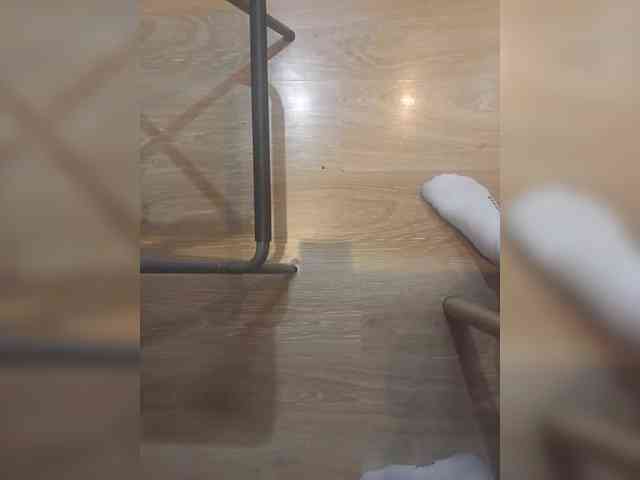 Nepechalka webcam
