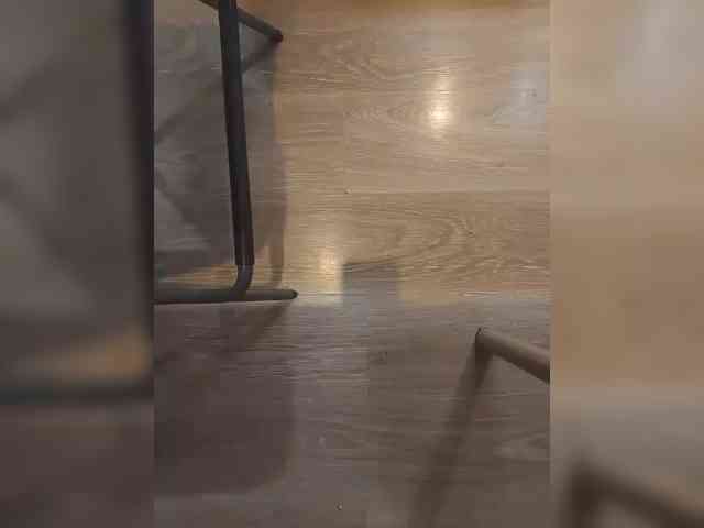 Nepechalka webcam
