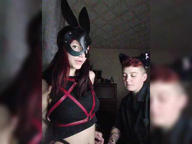kitten-0-kiss