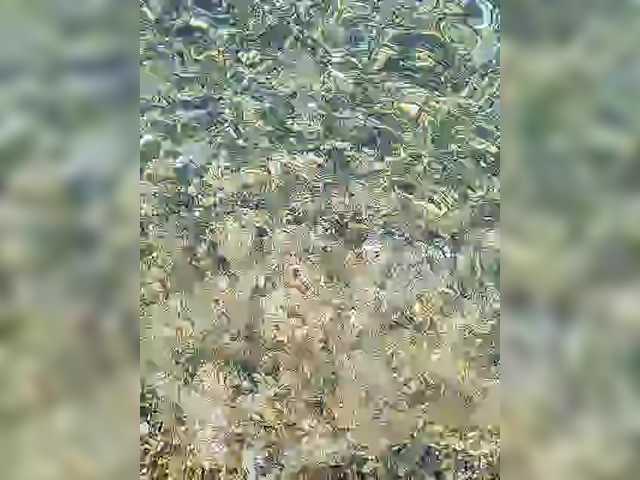 MANBEK