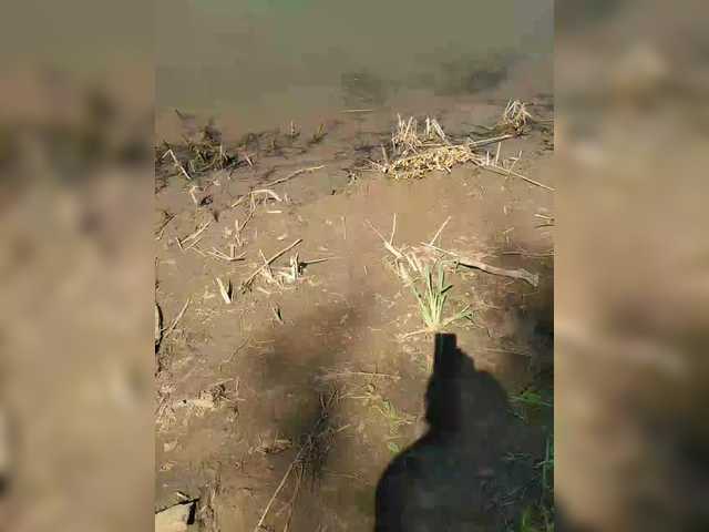 MANBEK