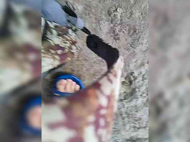 manbek