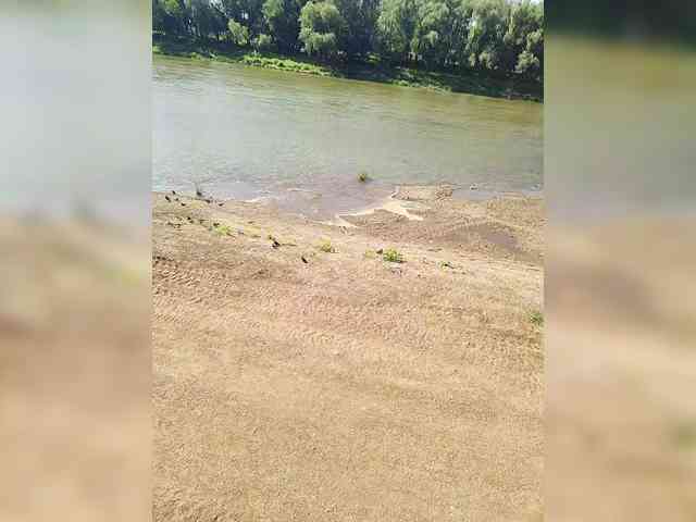 manbek