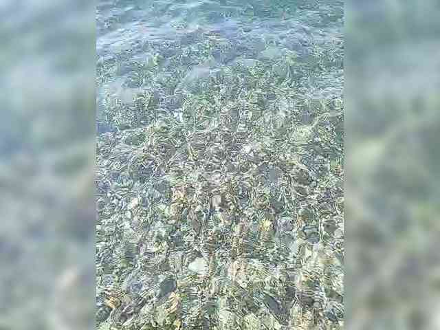 manbek
