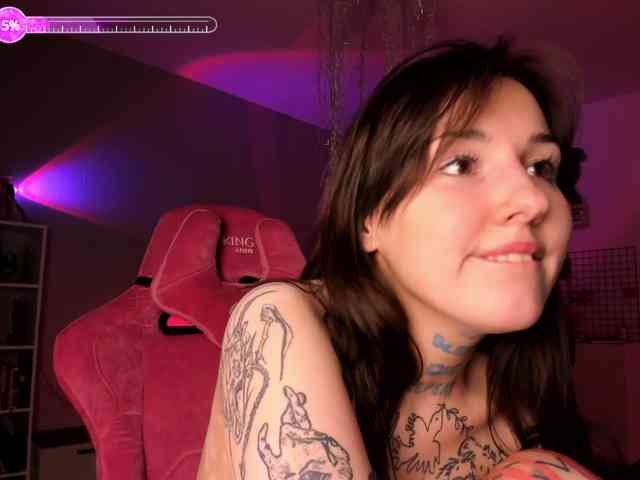 sweetsoft webcam
