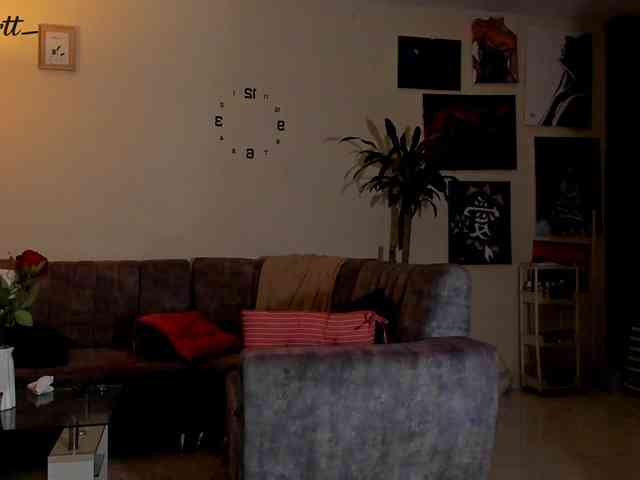 estefy-arroyo webcam