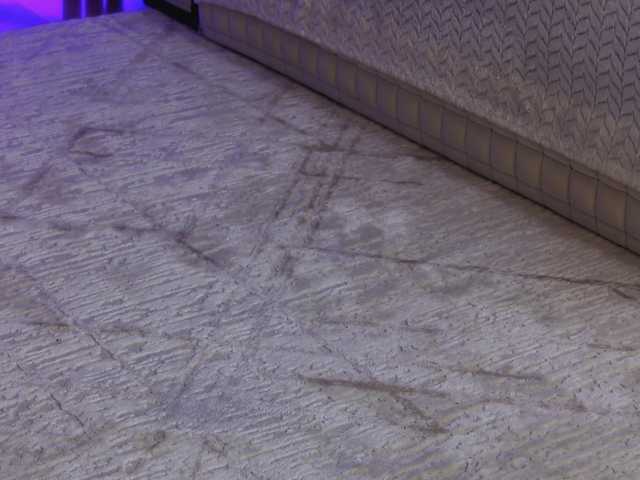 OnlyXandra7's BongaCams show and profile