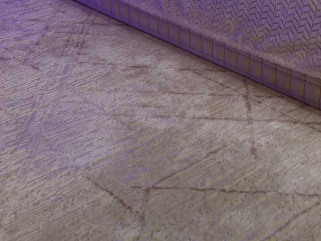 OnlyXandra7's BongaCams show and profile