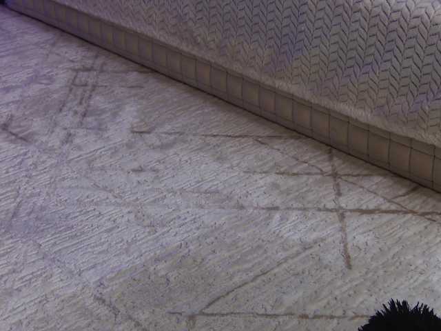 OnlyXandra7's BongaCams show and profile