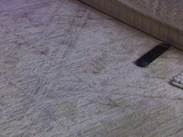 OnlyXandra7 from BongaCams is Freechat