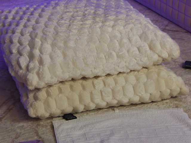 OnlyXandra7's BongaCams show and profile