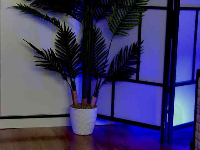 OnlyXandra7 webcam