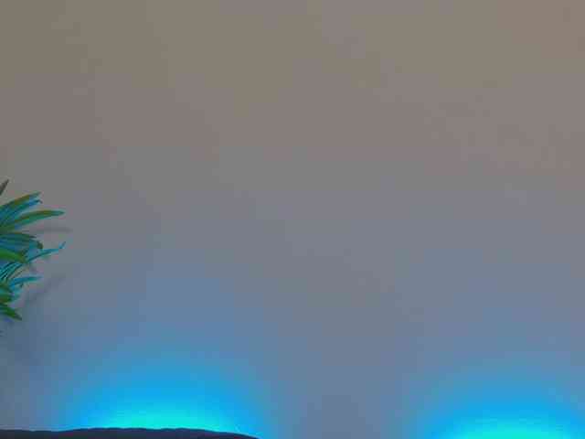 OnlyXandra7 webcam
