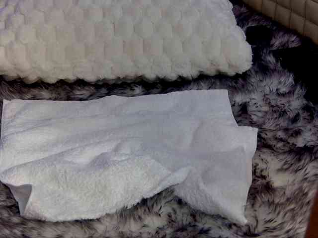 OnlyXandra7 webcam