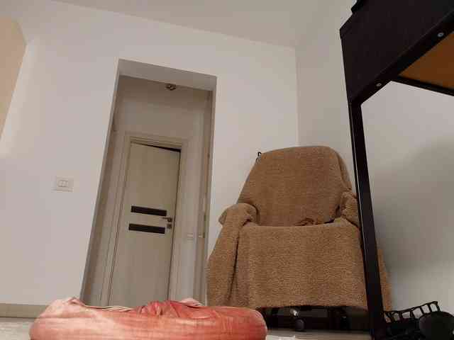 Angellyque webcam