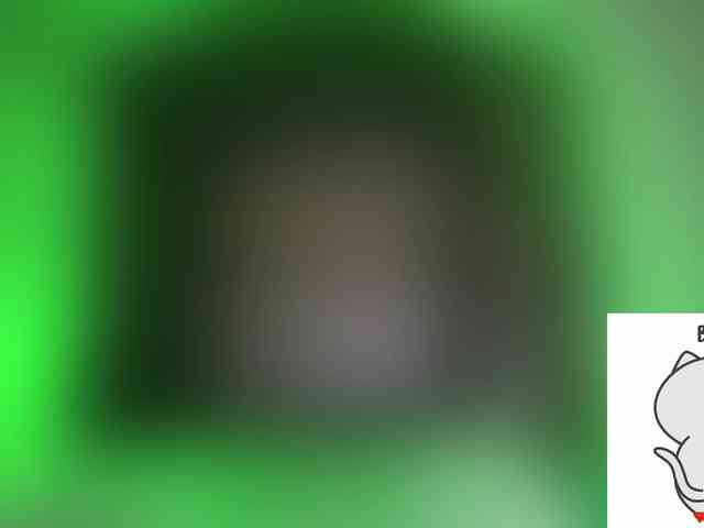 xxxsashawet webcam