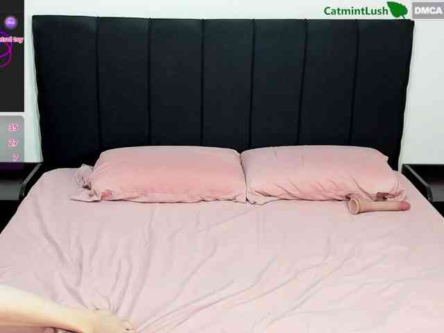 CatmintLush webcam
