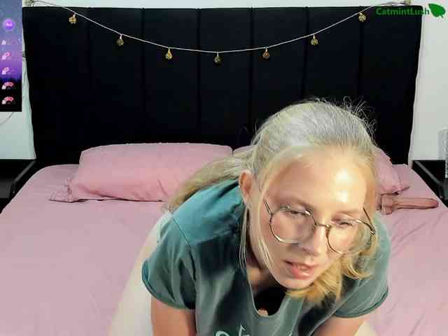CatmintLush webcam