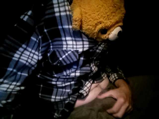 CuddleBear