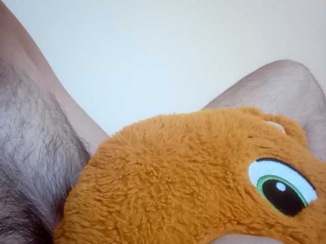 CuddleBear