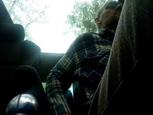 CuddleBear