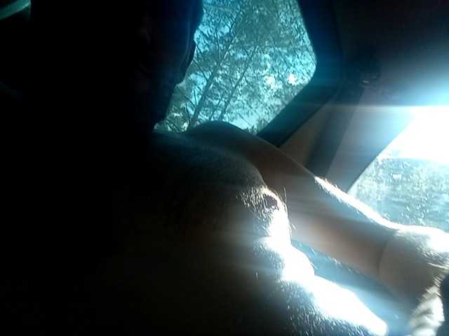 CuddleBear