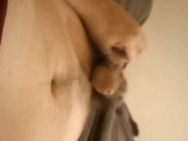 CuddleBear