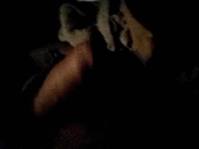 CuddleBear
