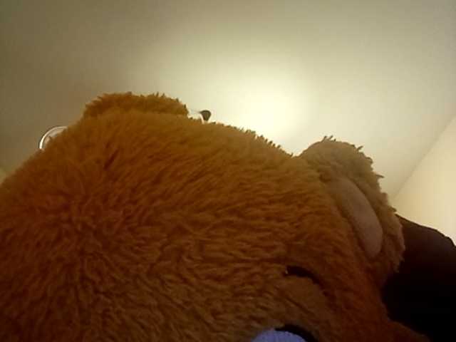 CuddleBear