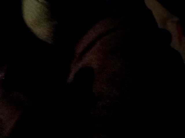 CuddleBear