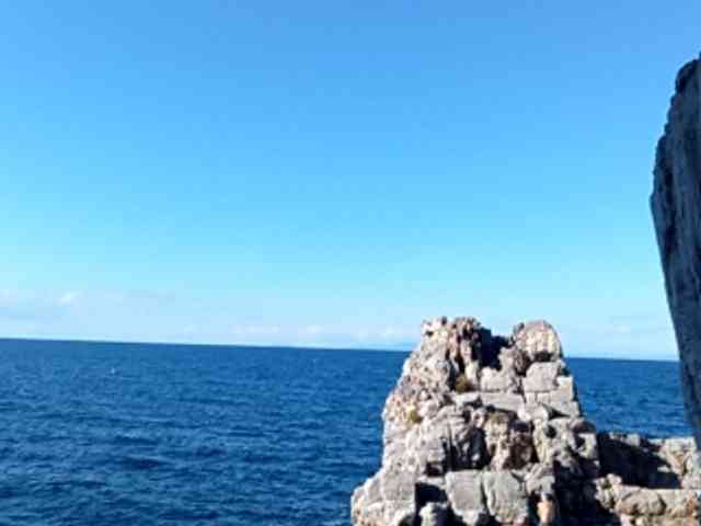 CuddleBear CuddleBear