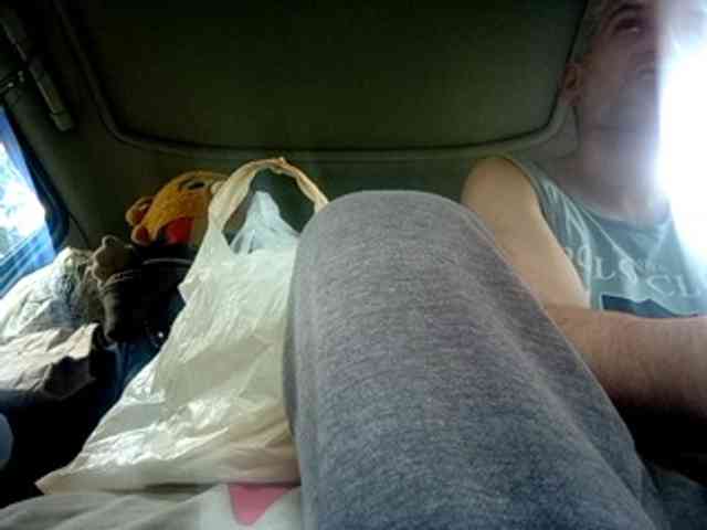 CuddleBear CuddleBear