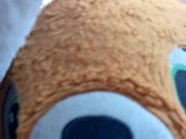 CuddleBear CuddleBear