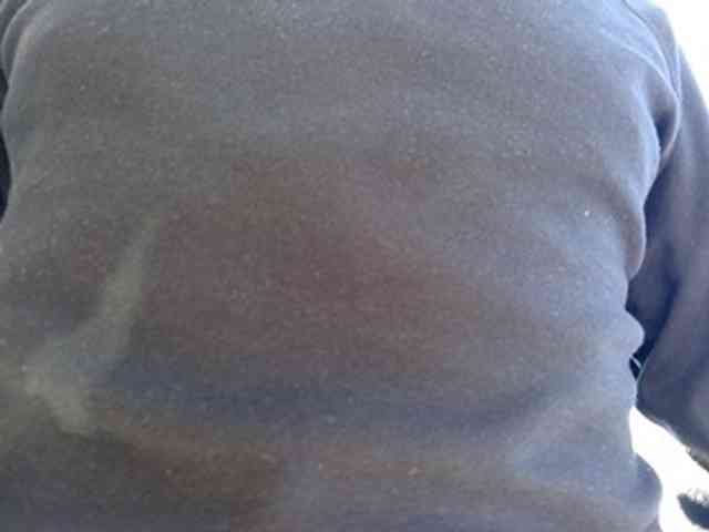 CuddleBear CuddleBear