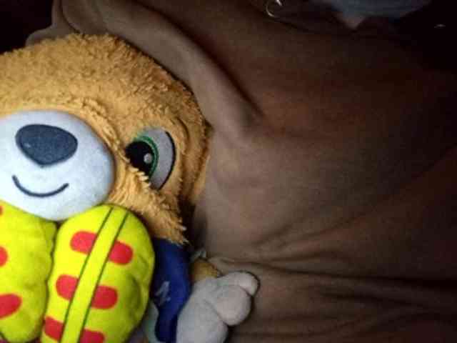 CuddleBear CuddleBear