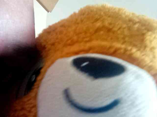 CuddleBear