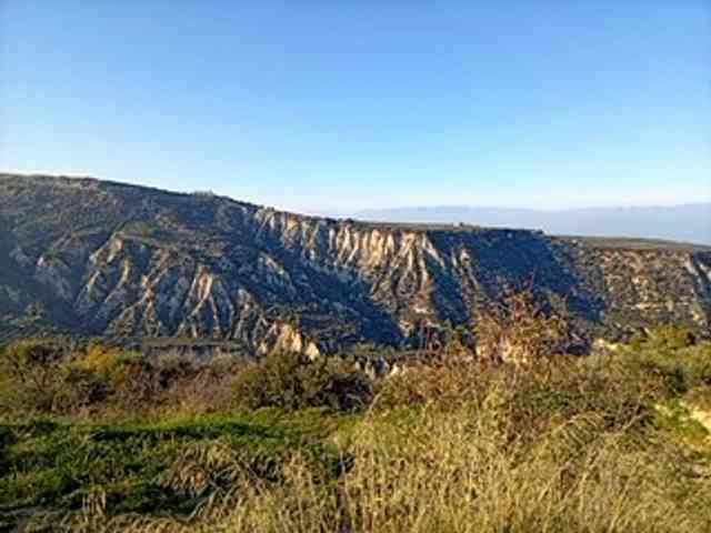 CuddleBear CuddleBear