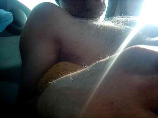 CuddleBear CuddleBear