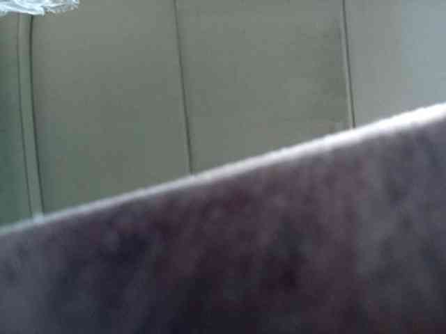 CuddleBear CuddleBear