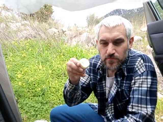 CuddleBear CuddleBear