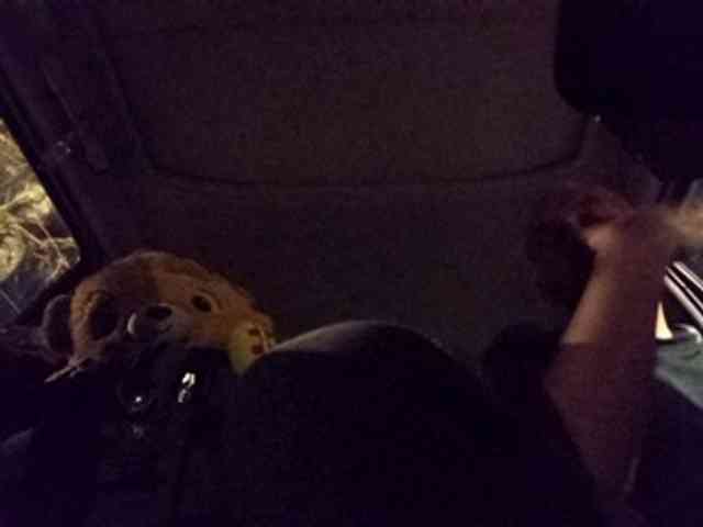 CuddleBear CuddleBear