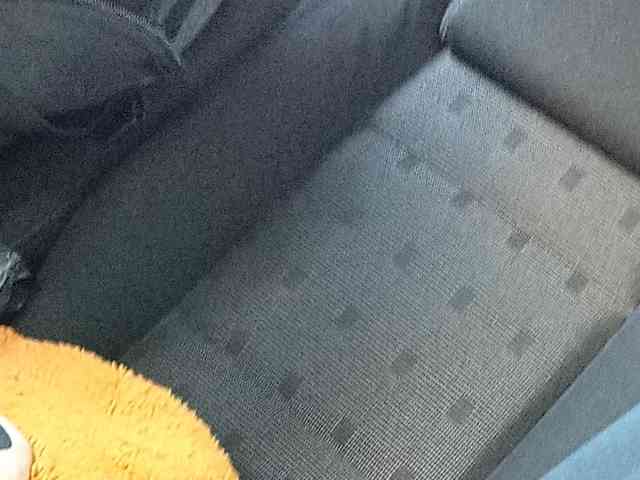 CuddleBear CuddleBear