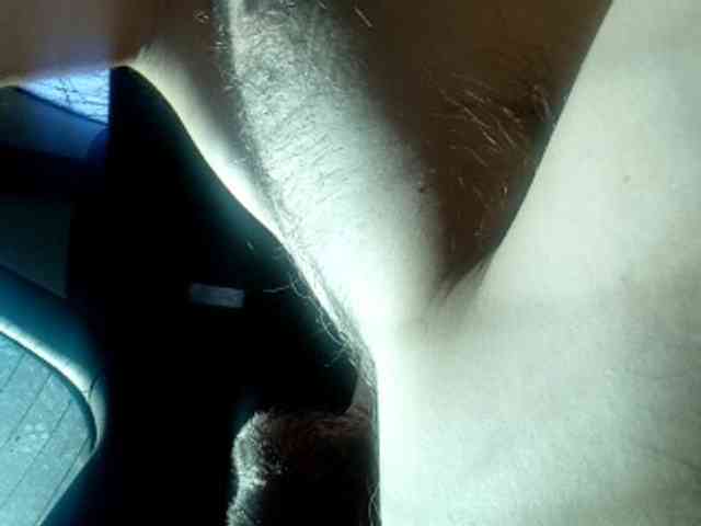 CuddleBear CuddleBear