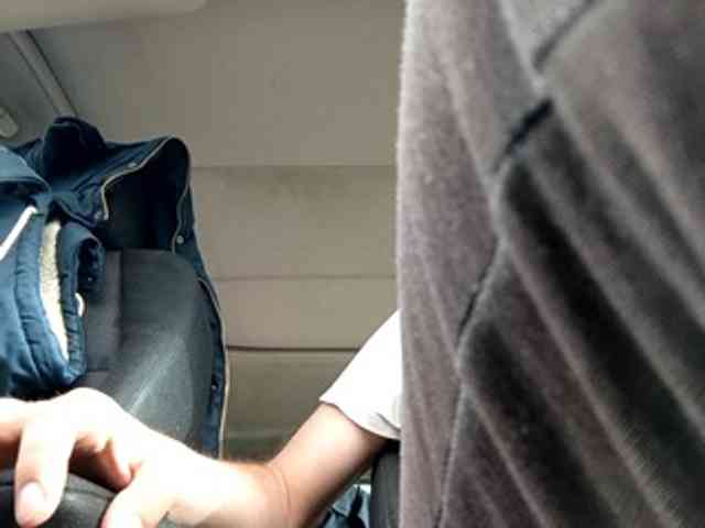 CuddleBear CuddleBear