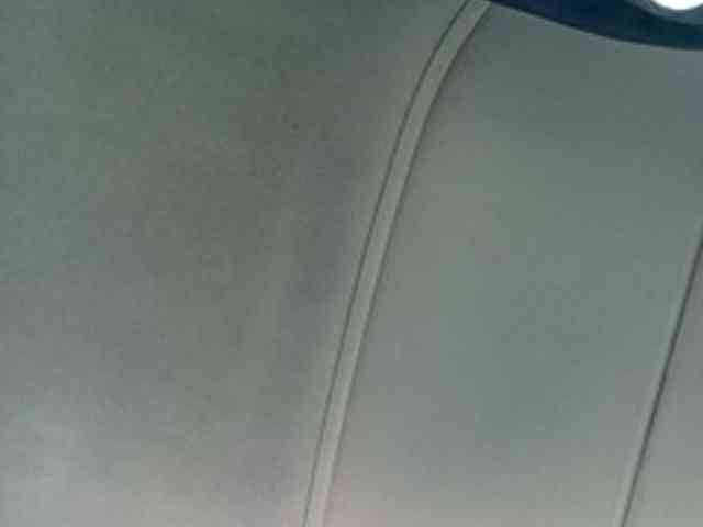 CuddleBear CuddleBear