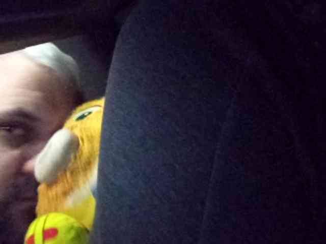 CuddleBear CuddleBear