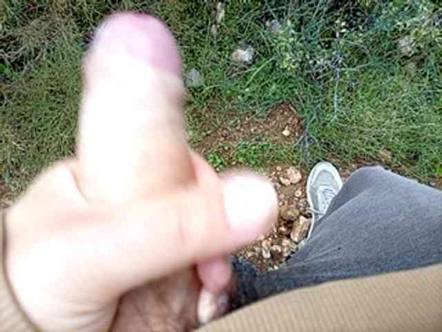 CuddleBear CuddleBear