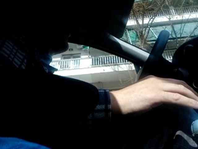 CuddleBear CuddleBear